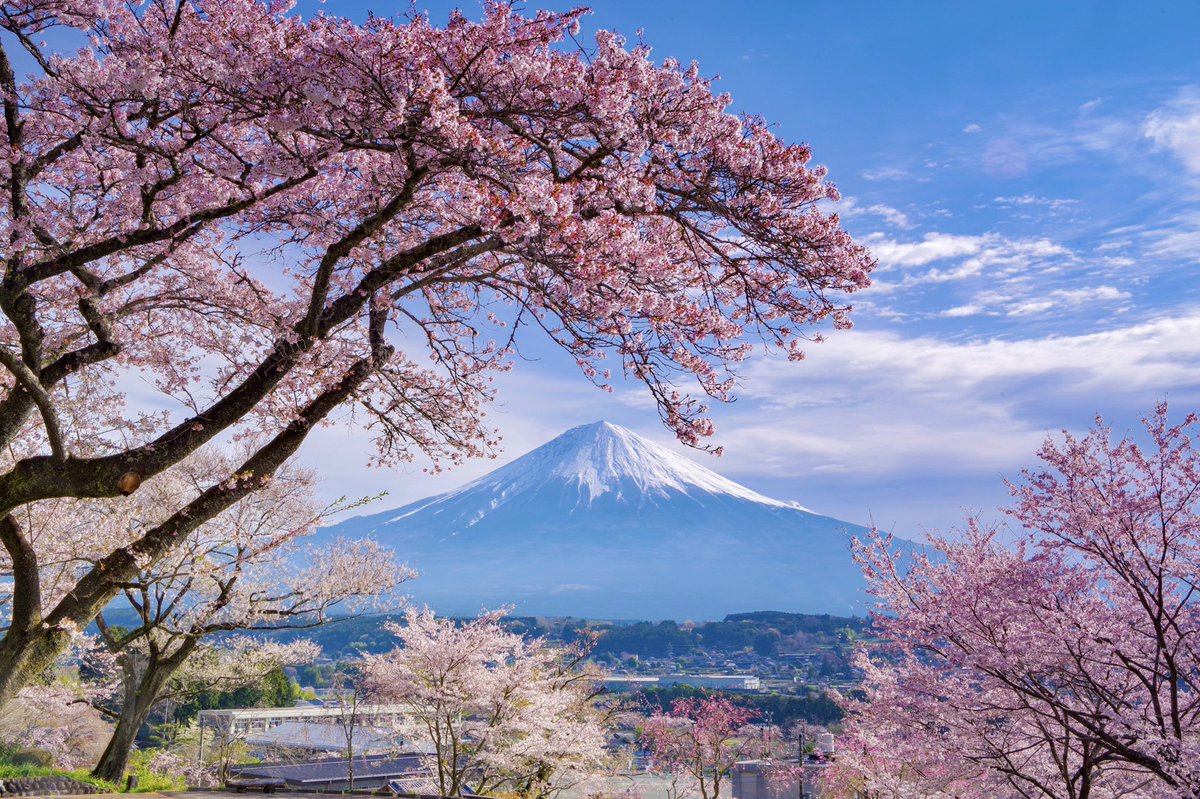 IskwIssiy's tweet photo. プロフィール固定用📌

富士山が好き👨‍🍳
綺麗な花や景色も好き🌸⛰🌿 https://t.co/wjeu1kuuqv