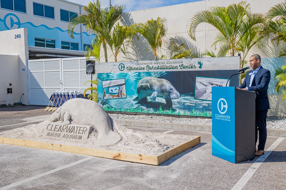Clearwater Aquarium on Twitter: "Manatee conservation news! 🚨