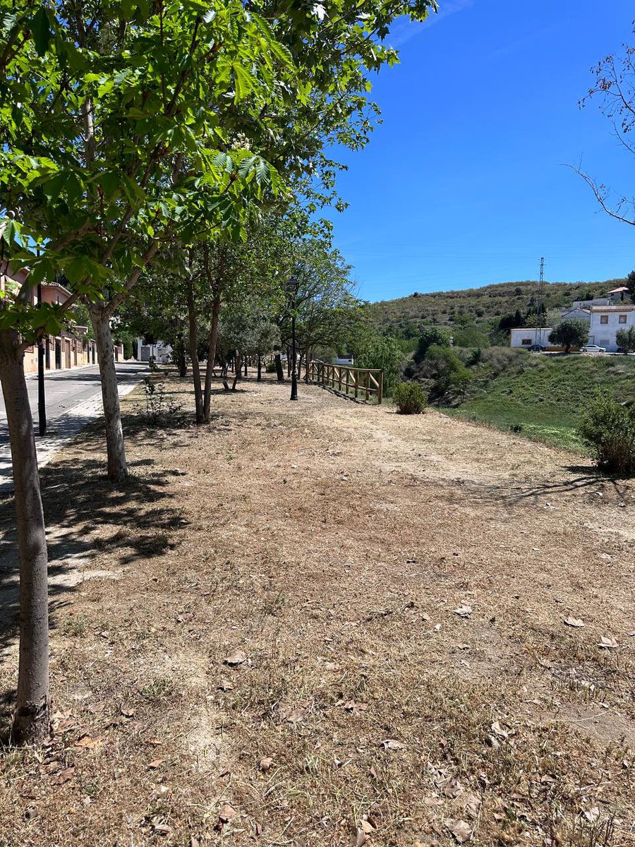 Aurora Suárez tweet media