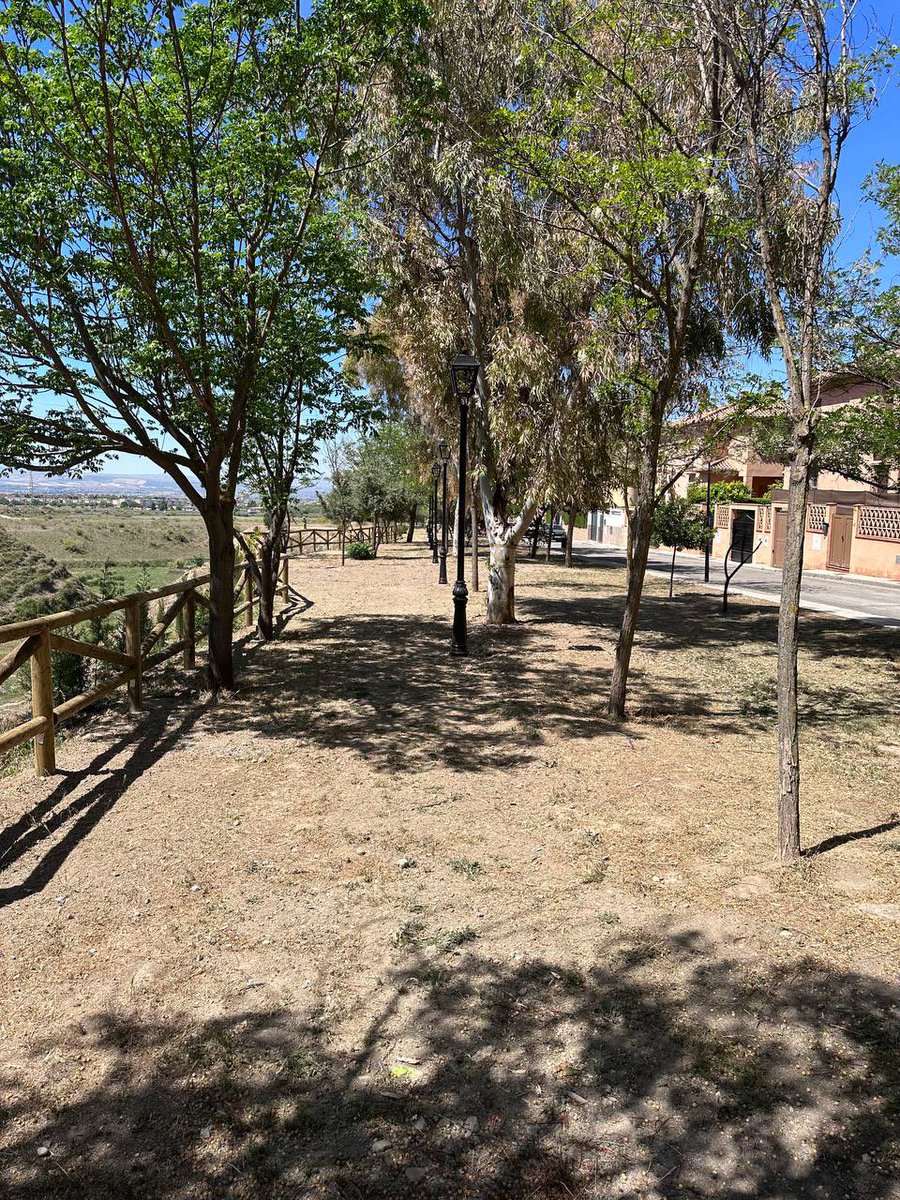 Aurora Suárez tweet media