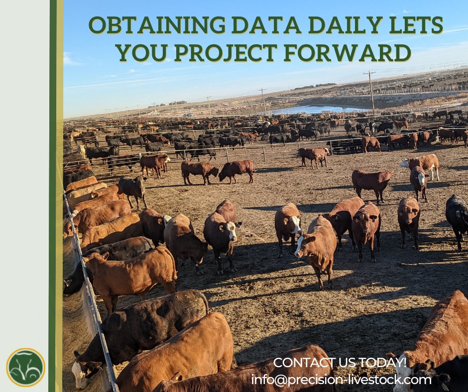 Having access to constant data lets you better match objectives and create projections. 

Our camera observations detect and analyze:
🌽Bunk levels
🌽Bunk slicks
🌽Feeding behavior
🌽Fill events
🌽Intake predictions (beta)

Contact us Today!
✉️ info@percision-livestock.com