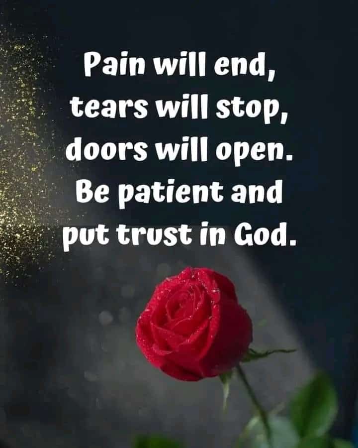 destinyrestore1's tweet photo. Trust God with thy whole heart...
Mtumainini BWANA kwa moyo wako wote.
D2R Leading
Email:destinyrestorationpg17@gmail.com
WhatsApp+255757677111 https://t.co/sFS8V4Dt2U