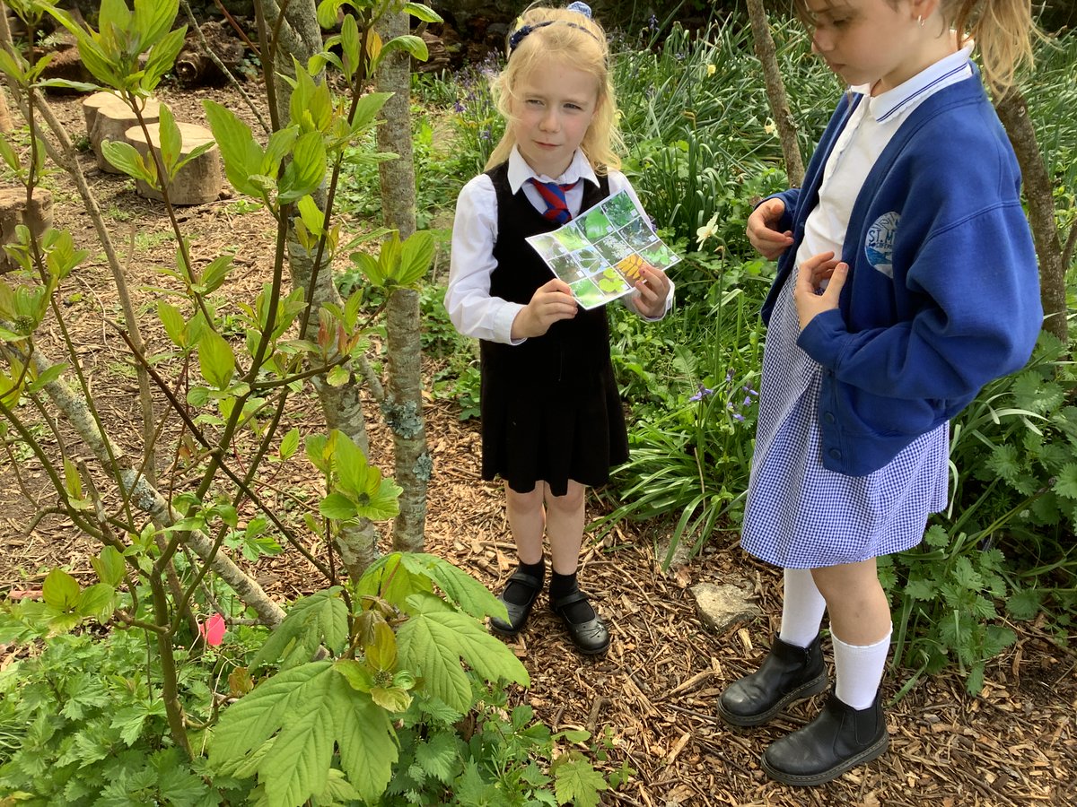 StMellionCofE's tweet photo. This afternoon Class One took the opportunity to apply their science learning about deciduous and evergreen trees by seeing if they could identify them within the school grounds and classify them into either group. π²π³
Team St Mellion π
#BringScience #BringIt https://t.co/uPD3R7Nbor