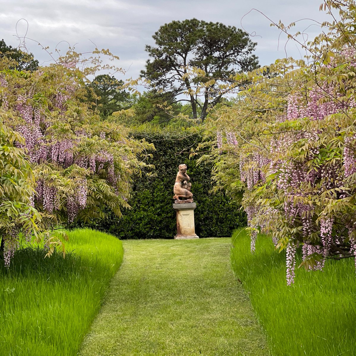 P. Allen Smith tweet media