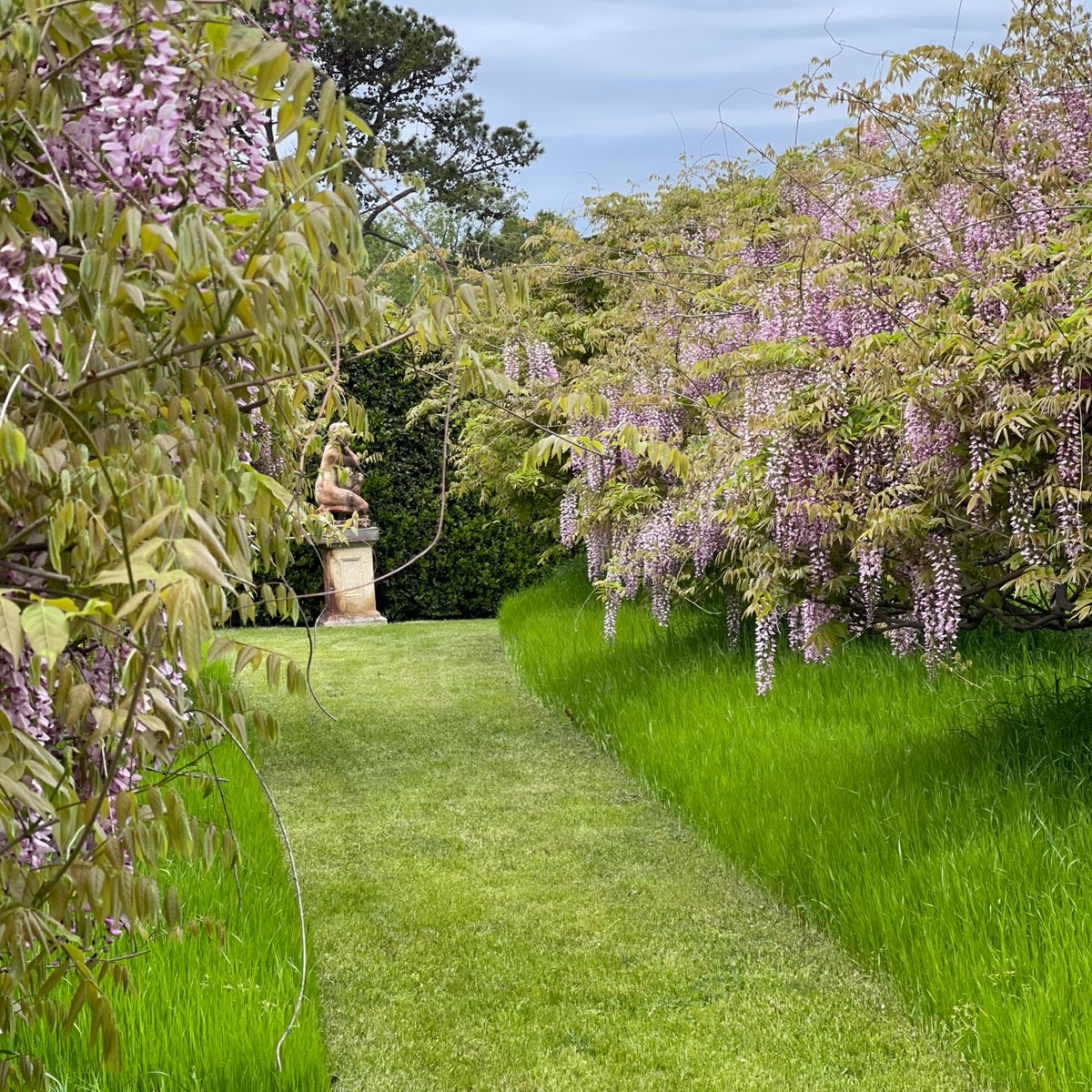 P. Allen Smith tweet media