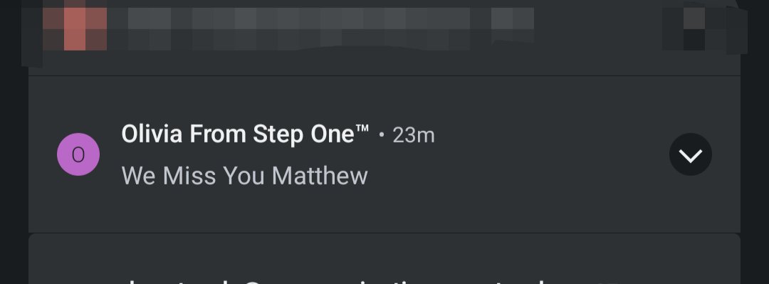 _ifib's tweet image. I bought one item, it got delivered 48 hours ago and the vendor now starts sending needy emails. Dear @steponegetsome - don't do this. I like the product but I just blocked future emails and chances of another purchase just disappeared #stepone 🚮