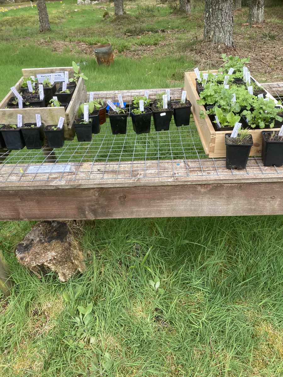The 50p table. And the selection is growing.