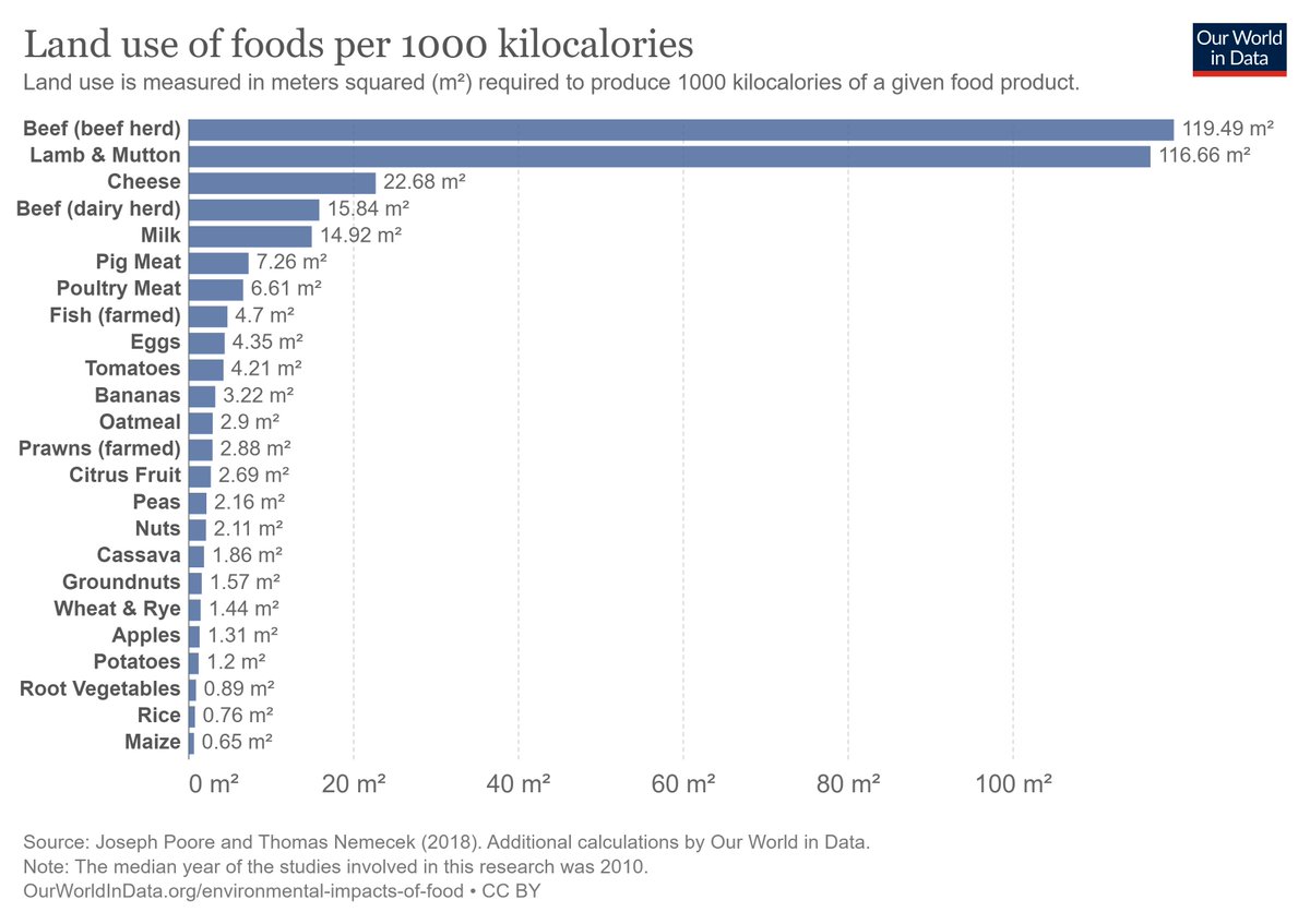 Three quarters of the world's agricultural land is already used for animal husbandry. A third of the world's cereal crops are used to feed animals (Ritchie, 2021). If everyone shifted to a plant-based diet, we would reduce global agricultural land by 75%.