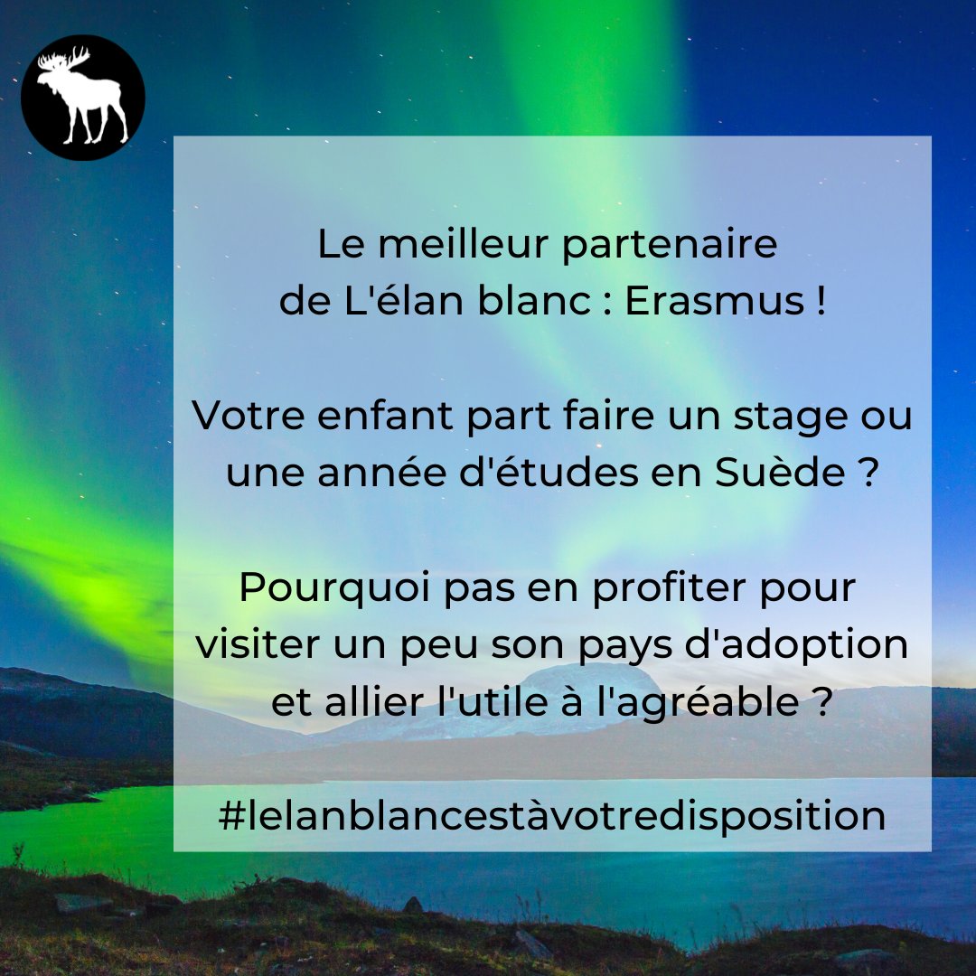 BlancElan's tweet photo. Vous allez installer votre enfant ou vous comptez lui rendre visite ?
L'élan blanc est à votre disposition pour vous concocter un joli petit périple.
#Erasmus #voyagesuède #voyagesurmesure https://t.co/RZk7bgGYVi