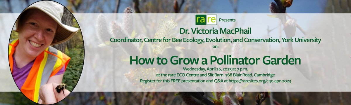 Victoria J. MacPhail, PhD (@vjmacphail) on Twitter photo Want to learn How to Grow a #Pollinator-friendly Garden?  Come join me tomorrow night <a href="/raresites/">rare</a> in Cambridge to hear my presentation, ask questions, pick up handouts, and more! Free of charge but register at raresites.org/events/convers… Want to learn How to Grow a #Pollinator-friendly Garden?  Come join me tomorrow night <a href="/raresites/">rare</a> in Cambridge to hear my presentation, ask questions, pick up handouts, and more! Free of charge but register at raresites.org/events/convers…