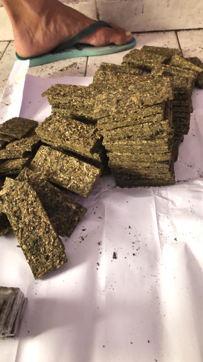 Maconhasrj's tweet photo. PRA VENDER PRONTAS  ENTREGAS 🚛❤️🍁🍁🤑

Marijuana 🍁🎈

MELHORES MACONHA RJ🍁 https://t.co/RObHSPC7GK