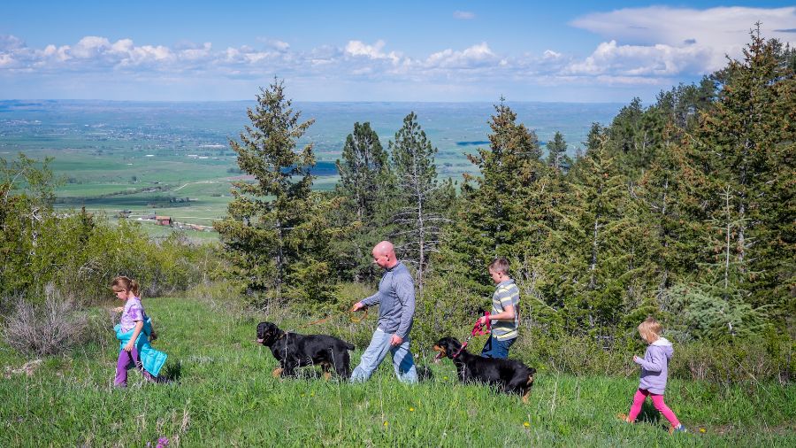 Western Confluence tweet media