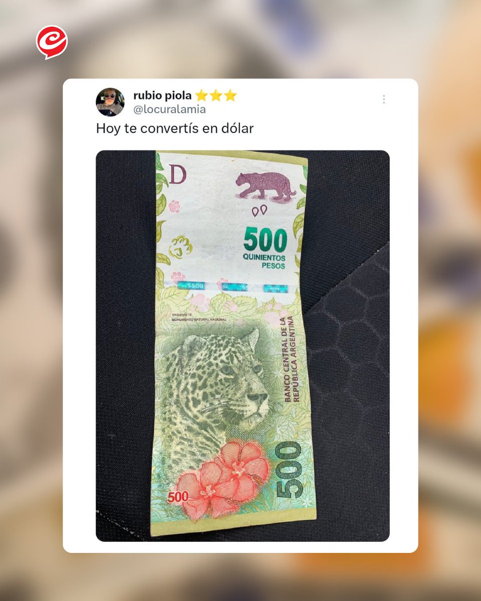 Cronica_ok's tweet photo. ➡️ Leé la nota completa https://t.co/ZfmD10PIO5

#Memes #DolarBlue #Santacachucha #EstoYaNoEsGracioso #WayYa #AlguienQueHagaAlgo #LaGenteTieneMiedo #SeñorPresidente #TodosSomosBritney https://t.co/Ktj7a3dnqT