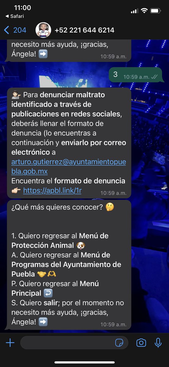 CinthyaLux's tweet photo. Vengo a mostrarles algo que encontré, el @PueblaAyto lanzó un chat bot y me metí para investigar qué puedes realizar con el y entre otras cosas puedes realizar denuncias de maltrato animal creo que es una buena opción. Por favor ayudemos a dar voz a los más indefensos https://t.co/uJNghp8R2s