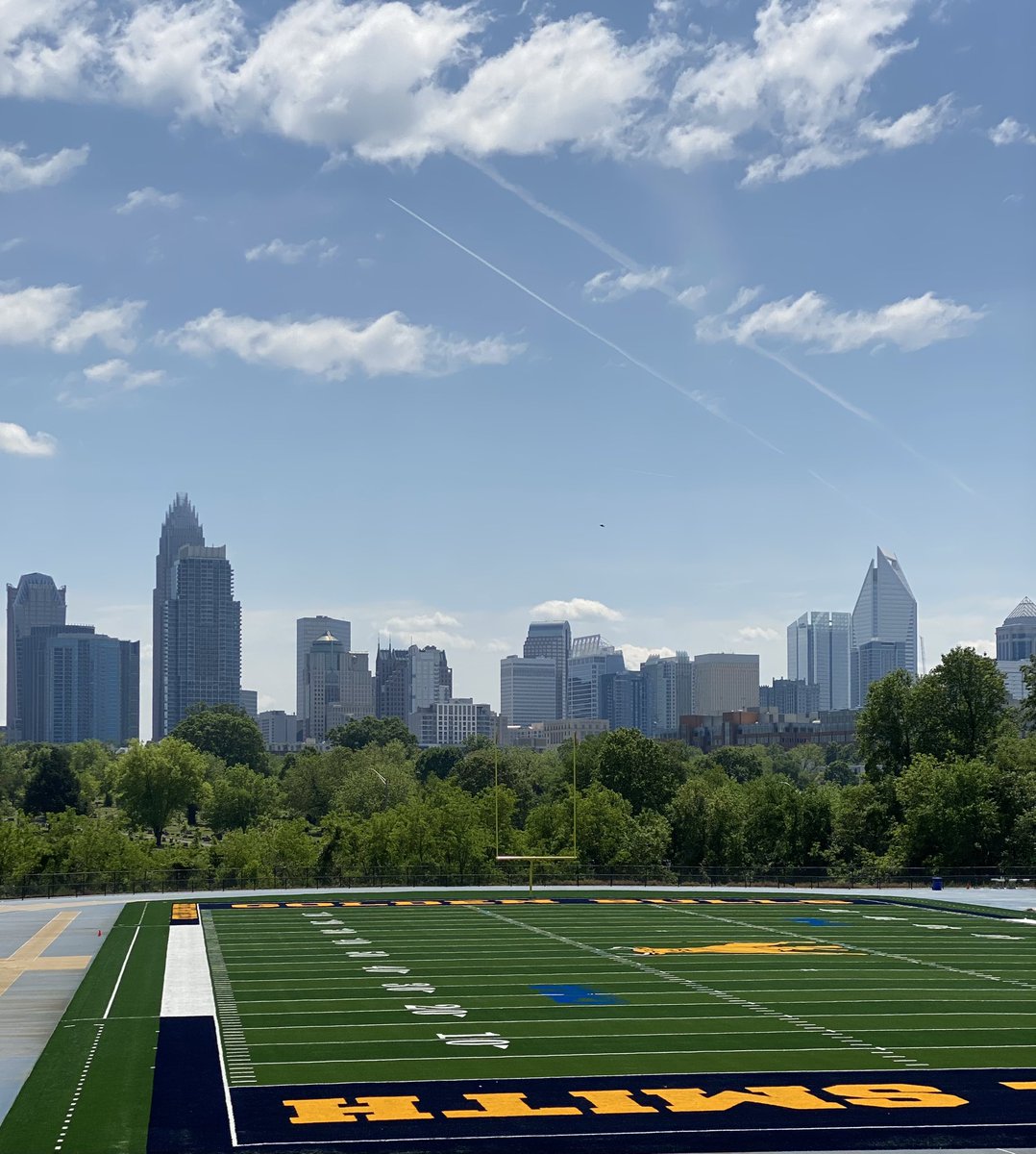 Golden Bulls tweet media