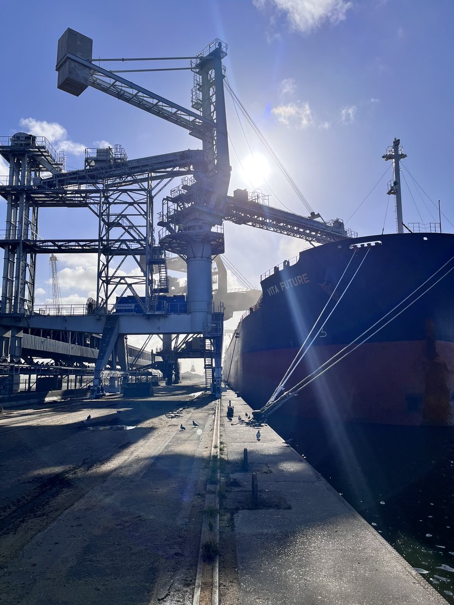 NordCéréales (@nordcereales) on Twitter photo Premier chargement d’#orge avec le nouveau portique #Neuero sur le bateau M/V Vita Future en destination de la #Chine 🇨🇳 (tonnage : 66 000 t.)
Cc <a href="/AgroParisBourse/">Agro Paris Bourse</a> <a href="/intercereales/">Intercereales</a> <a href="/DKPortCenter/">Dunkerque PortCenter</a> <a href="/FranceAgriMerFR/">FranceAgriMer</a> Premier chargement d’#orge avec le nouveau portique #Neuero sur le bateau M/V Vita Future en destination de la #Chine 🇨🇳 (tonnage : 66 000 t.)
Cc <a href="/AgroParisBourse/">Agro Paris Bourse</a> <a href="/intercereales/">Intercereales</a> <a href="/DKPortCenter/">Dunkerque PortCenter</a> <a href="/FranceAgriMerFR/">FranceAgriMer</a>