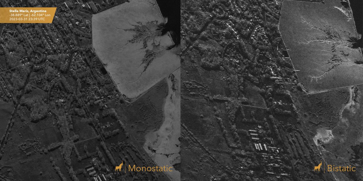 Capella demonstrates #bistatic imaging capability – another first in the US commercial #SAR industry. Here is a traditional monostatic image next to the bistatic image, showing a clear difference in object and feature detection. capellaspace.com/capella-space-…