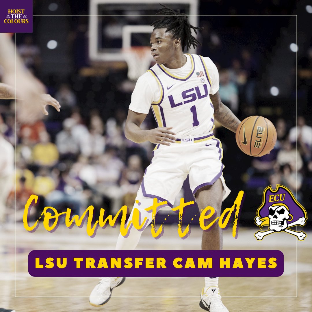 Hoist The Colours on Twitter "BREAKING LSU transfer guard Cam Hayes