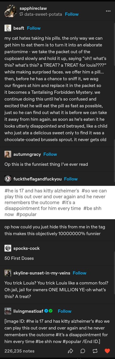 Not sure what the best part of this is: Kitty Alzheimers, 50 First Doses, or the comparison of medicine to chocolate covered brussels sprouts.