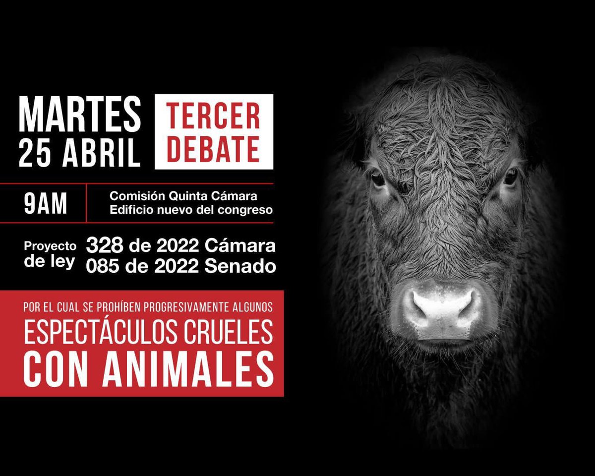 CancimanceL's tweet photo. Hoy la @ComiQuintaCam 11 Representantes legislaron en contra de la vida. Están a favor del maltrato animal.
Hundieron el Proyecto a través del cual se prohibía progresivamente las prácticas de entretenimiento cruel con animales.
Rechazo este resultado
#SiAl328 https://t.co/X7LHXGCJXF