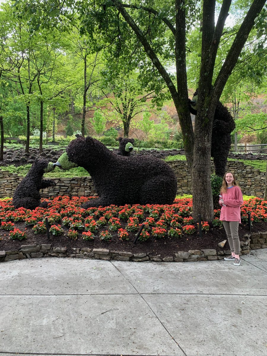 dangolsarah's tweet photo. living for these bears @ dollywood https://t.co/dt2McCvL18