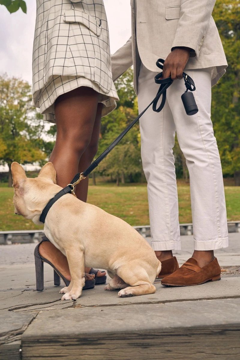 melmodco's tweet image. Remember-- the best way to keep your dog happy is to keep them active! A daily 15-30 minute walk will help keep your dog healthy and smiling.