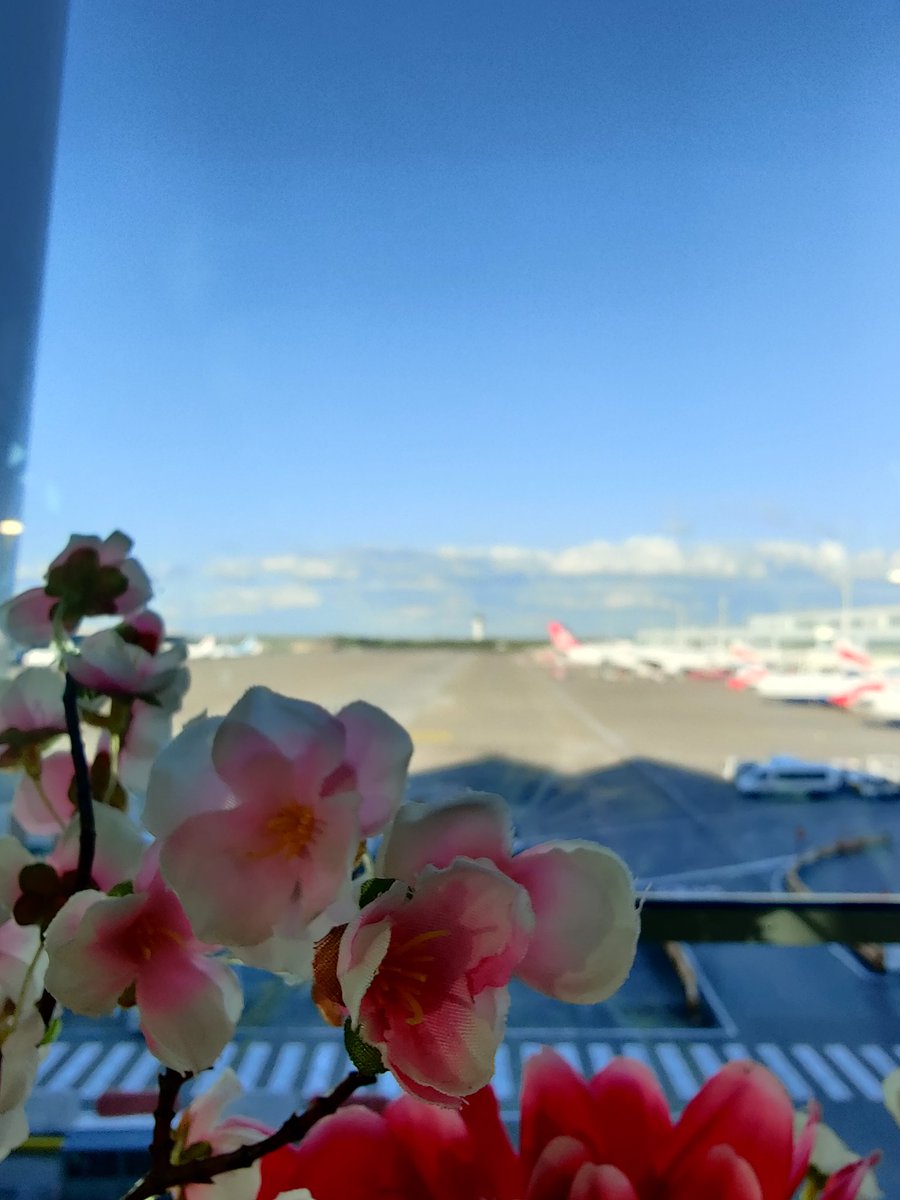 TechTaylor's tweet image. Spring time in #brusselsairport
