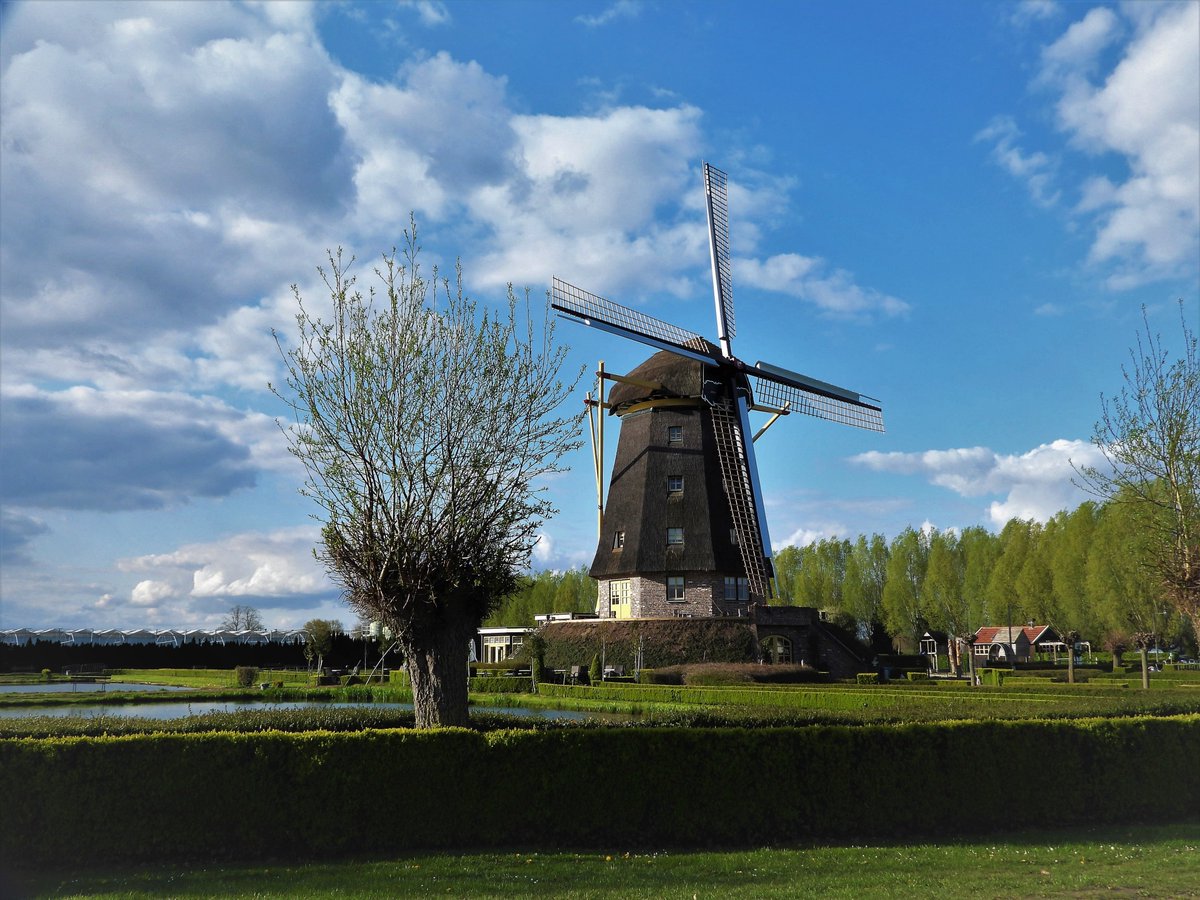 En dan is de Molen klaar!....
                             MaasRijk Blitterswijck 

Voor vanavond wens ik een ieder een gezellige avond...en een goede nacht met mooie dromen. Morgen gezond weer op!