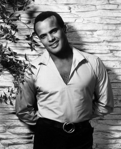 This man was truly one of my role models….  Intelligence, class, grace, activist - Hero! I just want to say that I’m humbled by how you used your light to help brighten a path for us all.  Your soul has returned to the creator but what you’ve left on earth will live with us