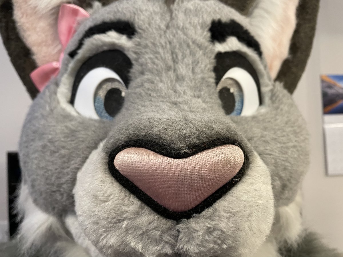 Whiskers Cat tweet media