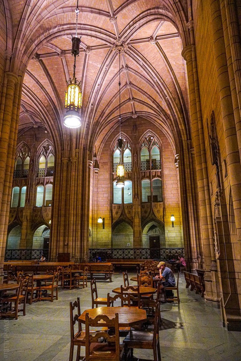 OaklandZoo's tweet photo. The Cathedral of Learning would like a word. https://t.co/C6Lmu5xdND