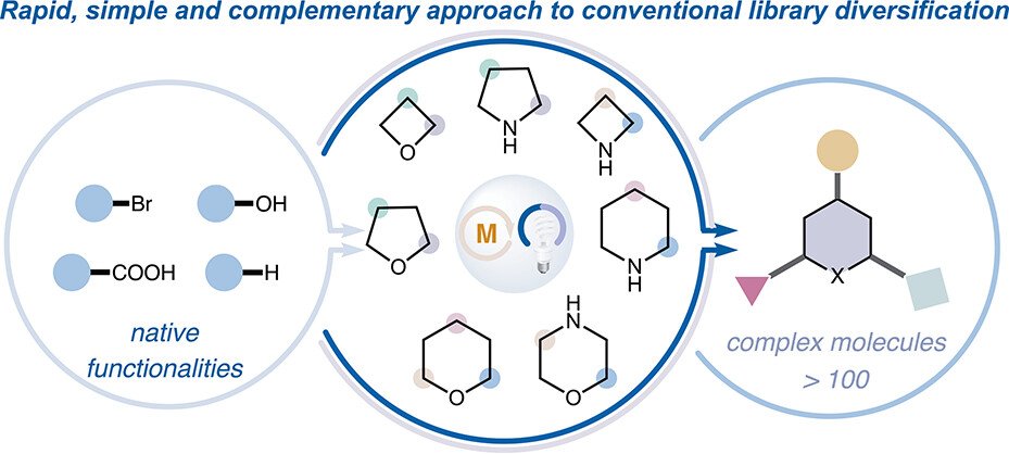 J Org Chem/Org Lett tweet media