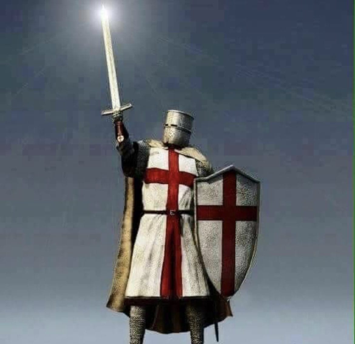 Pigeon Watch tweet media