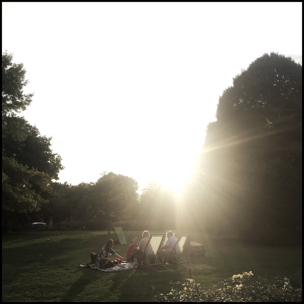 Park.
.
.
.
Photo: @AvilaSimpson / 2018 #uk #london #park #london🇬🇧 #england #queenmarygardens #garden #maquigrafia #alvaroavilasimpson #picnic #treephotography #peoplephotography #iphone #color #shotiniphone #shotoniphone #colorohotography #backlight #everydaylondon