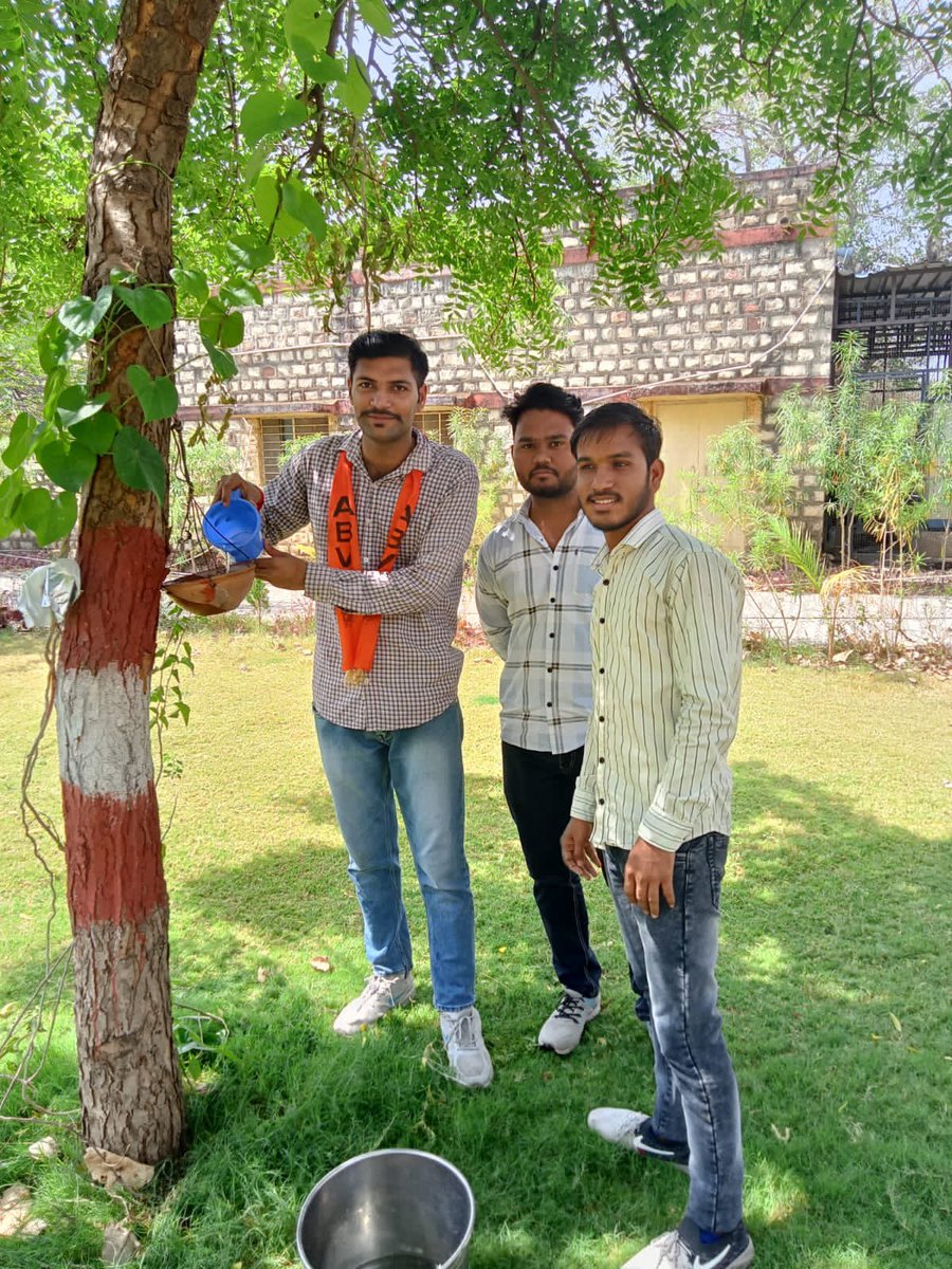 abvpchittor's tweet photo. अभाविप झालावाड़
#सेल्फी_विद_परिंडा_अभियान के दौरान कार्यकर्ताओ ने महाविद्यालय में  बेजुबान पक्षियों के लिए परिंडे बांधकर दाना-पानी की व्यवस्था की।

#ABVP  #SFD #SelfiWithParinda https://t.co/XLOkWTJ2s3