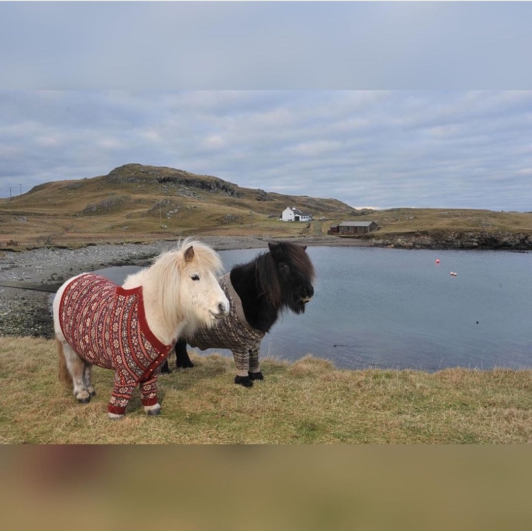 PetsHistorical's tweet photo. Scotland    1 - 0   Rest Of The World https://t.co/PTZQZK0R6w
