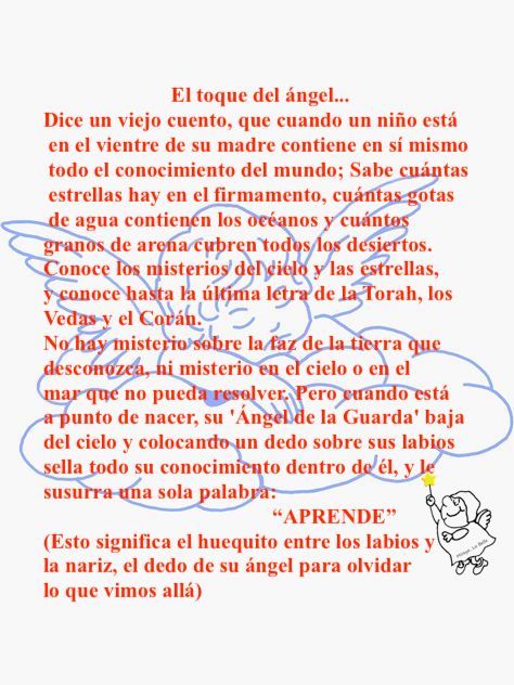 mireya starkenberg tweet media