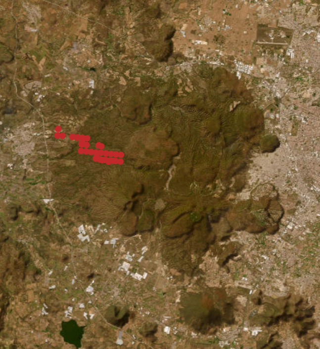 AnilloPrimavera's tweet photo. Esta es la trayectoria del Incendio que inició ayer en Tala, en la zona perimetral del bosque La Primavera. Los vientos vienen de poniente a oriente, y el fuego se ha internado al interior del bosque. La contaminación ya afecta buena parte del AMG https://t.co/MzaayMiHNT