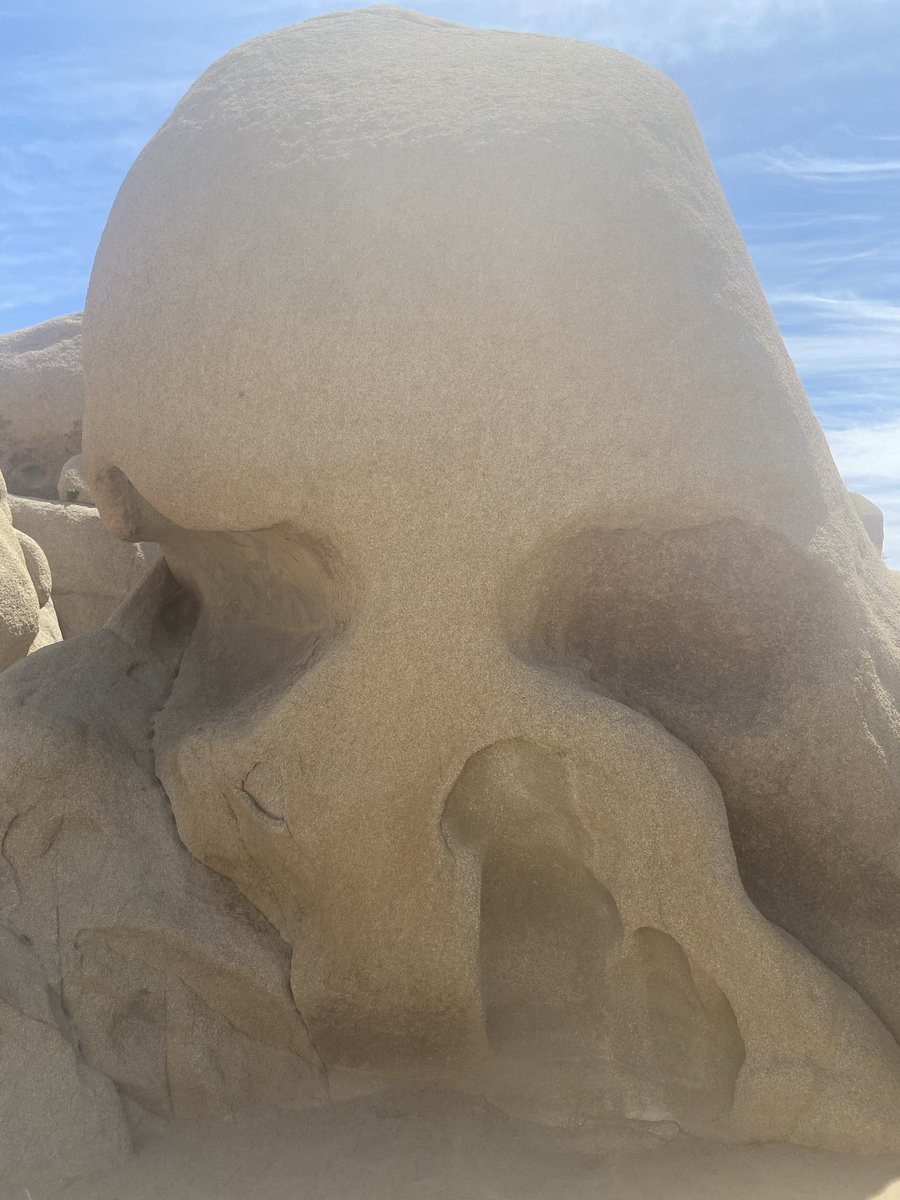TannerWebb617's tweet photo. @natparksnft @JoshuaTreeNPS Way more rocks and boulders than I expected https://t.co/6wMuUEdpfi