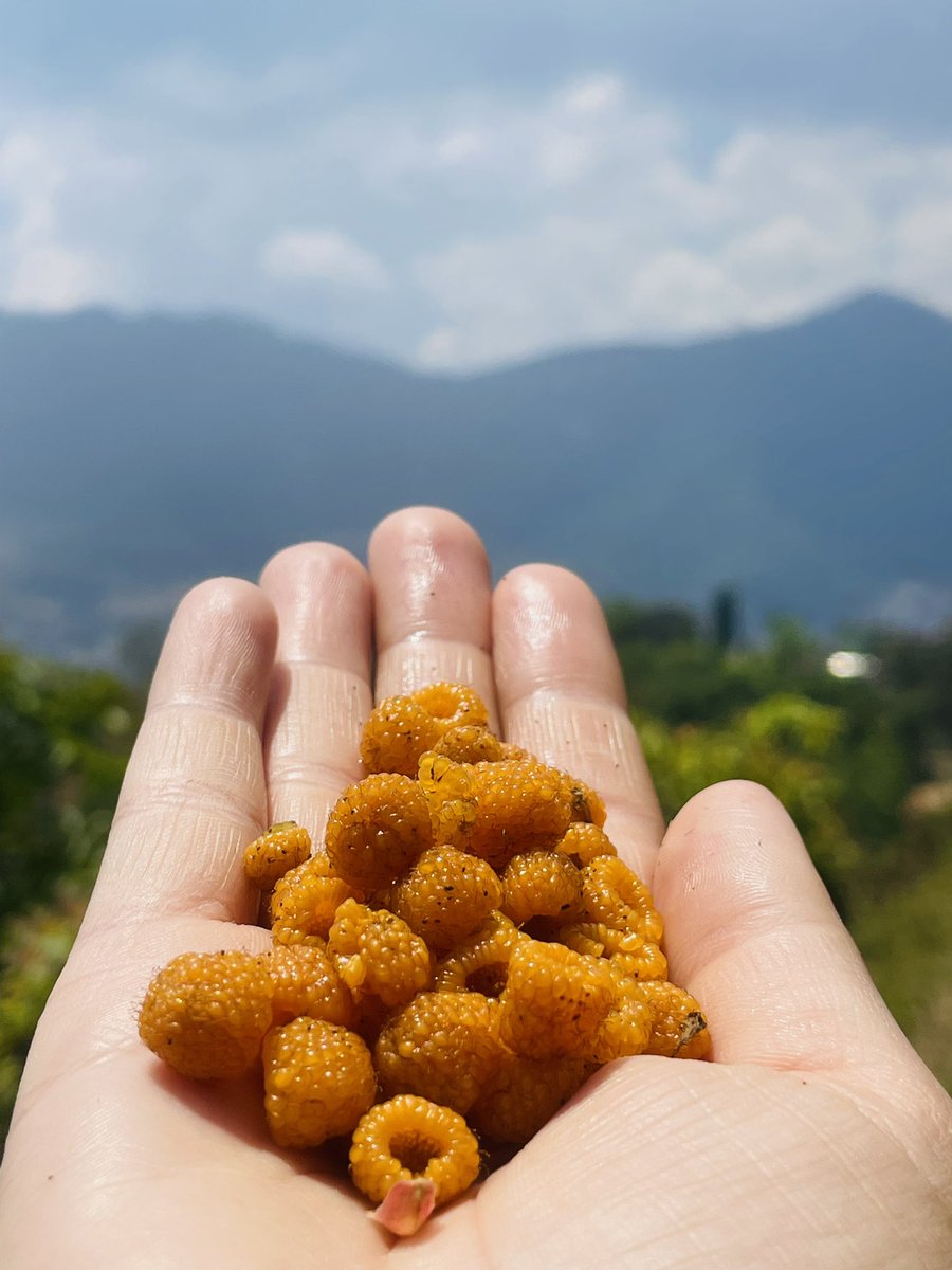 सबैले मिलेर खाऔँ है😋😃