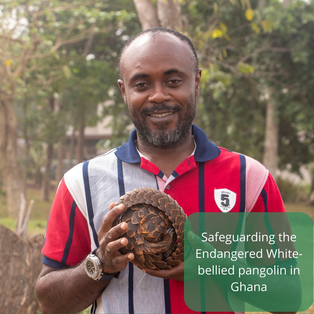 CLPawards's tweet photo. We are delighted to announce the winners of the 2023 CLP Team Awards!

From the Tuco-Tuco rodent, to the Javan Slow Loris, our 17 award-winning teams in 13 countries will protect threatened species worldwide.

@TheWCS @FaunaFloraInt @BirdLife_News

https://t.co/uzADGagfkt https://t.co/HTJxCGkpe5