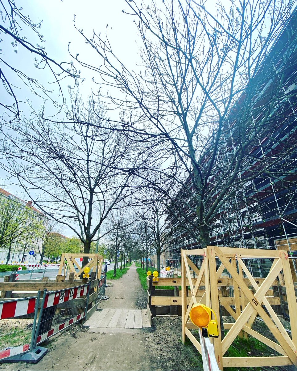 stierischgut's tweet photo. Wir haben heute Vormittag mal geschaut, wie es unseren Eschen 🌳🌳🌳 mit der Baustelle an der Kniprodestrasse geht, nicht nur weil heute der #TagdesBaumes ist. (1/7)
#26eschen https://t.co/9i4C9wvwkh