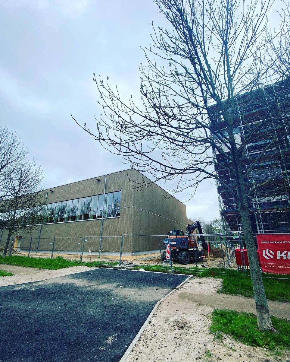 stierischgut's tweet photo. Wir haben heute Vormittag mal geschaut, wie es unseren Eschen 🌳🌳🌳 mit der Baustelle an der Kniprodestrasse geht, nicht nur weil heute der #TagdesBaumes ist. (1/7)
#26eschen https://t.co/9i4C9wvwkh