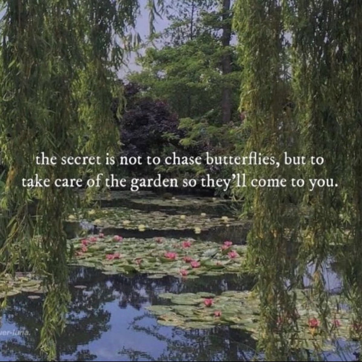 Gracey ✨ (@northastrology) on Twitter photo 