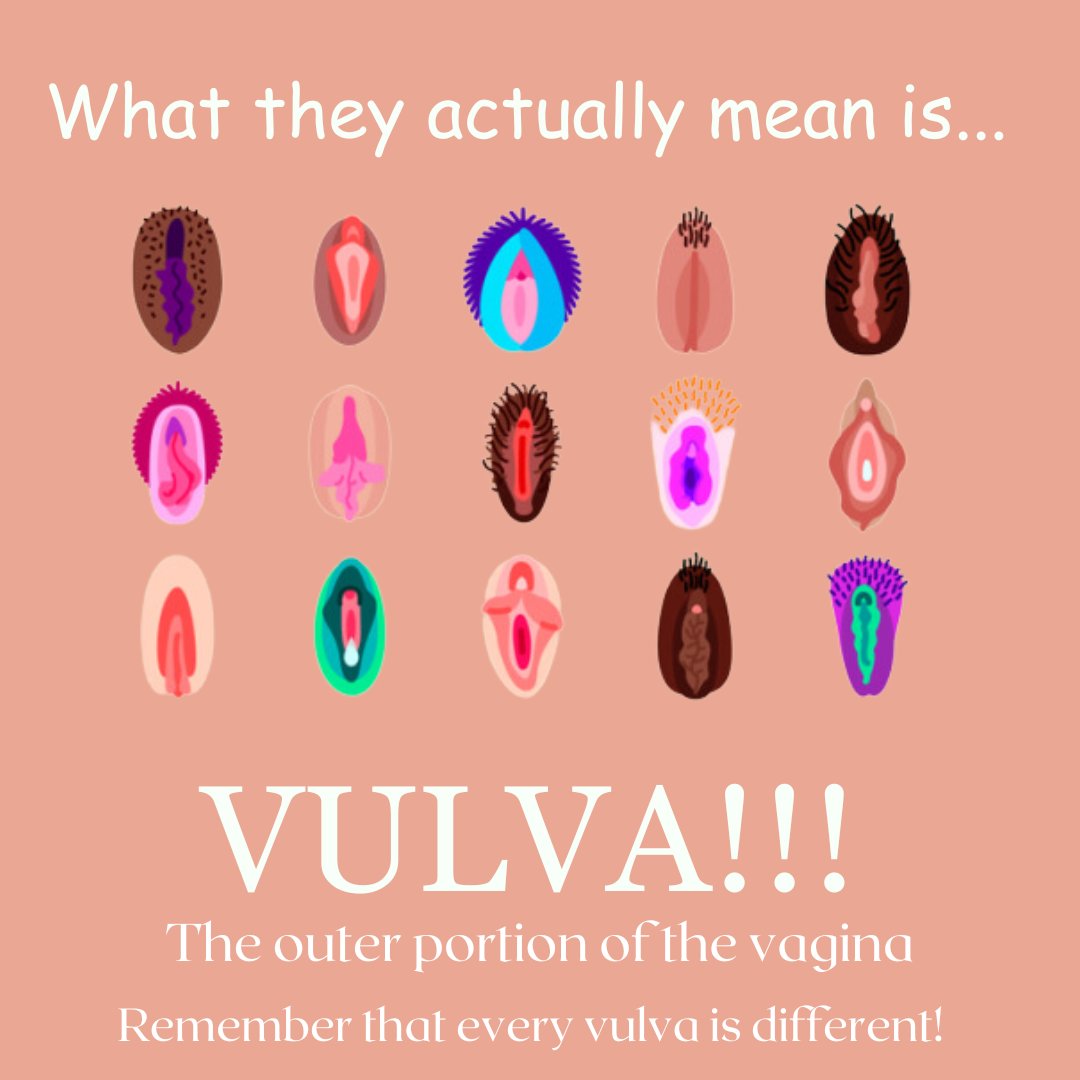 uhppyhp's tweet photo. What terms do you use?⁠
⁠
#sexed #plannedparenthood #themoreyouknow #yhp https://t.co/O6y85JtDMf