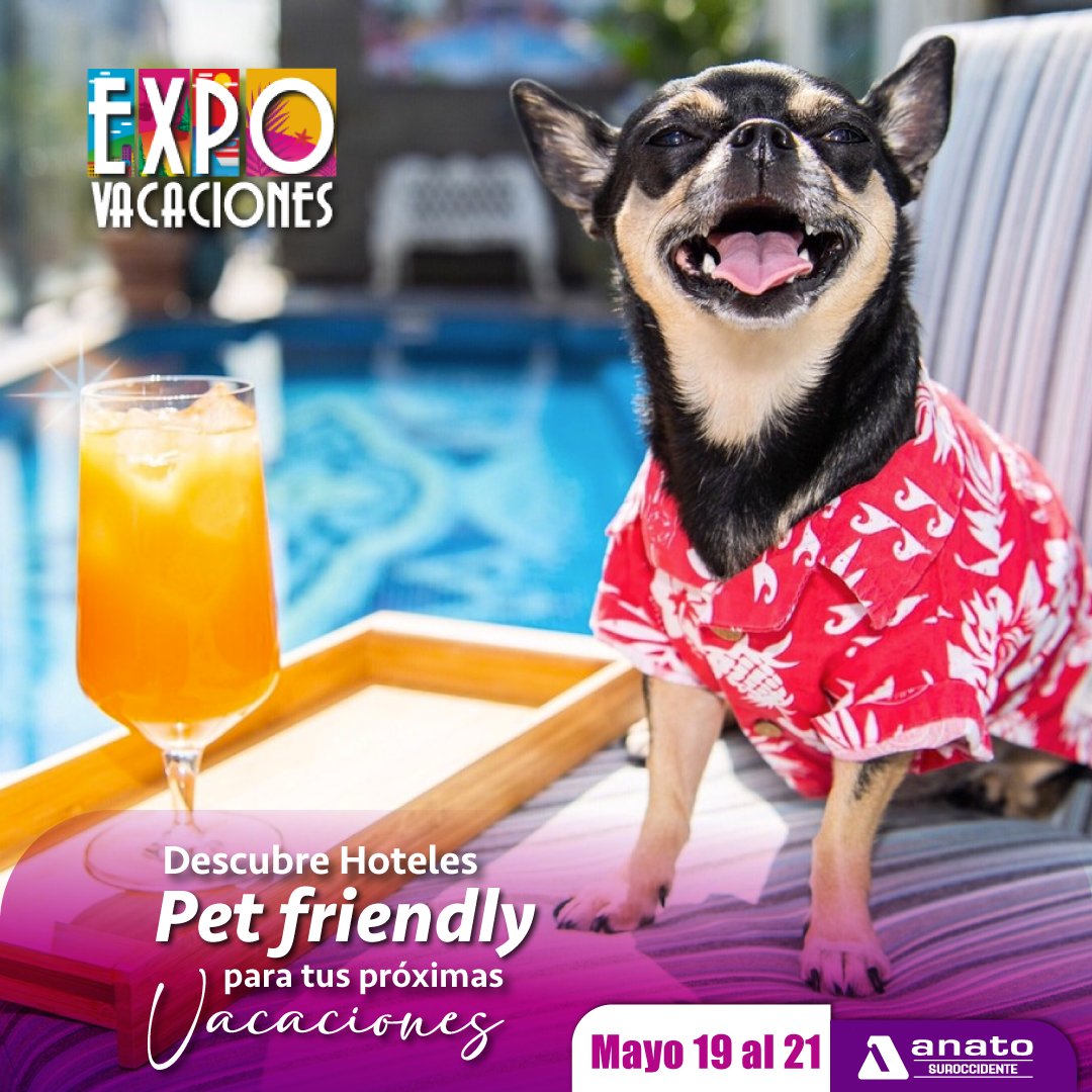 Anato Suroccidente tweet media