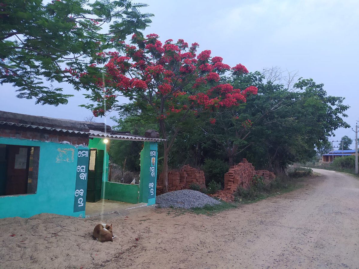 GangajalM's tweet photo. ମୋ ସେବା କେନ୍ଦ୍ର ରେଙ୍ଗାଲି ଗ୍ରାମ ପଞ୍ଚାୟତ,ବ୍ଲକ -ସୋନପୁର,ଓଡିଶା
ଓଡିଶା ସରକାର ଙ୍କ ସମସ୍ତ ବିଭାଗ ର  ସେବା ଏବେ ଆପଣଙ୍କ ଦ୍ୱାରରେ https://t.co/TWKAHyFctw