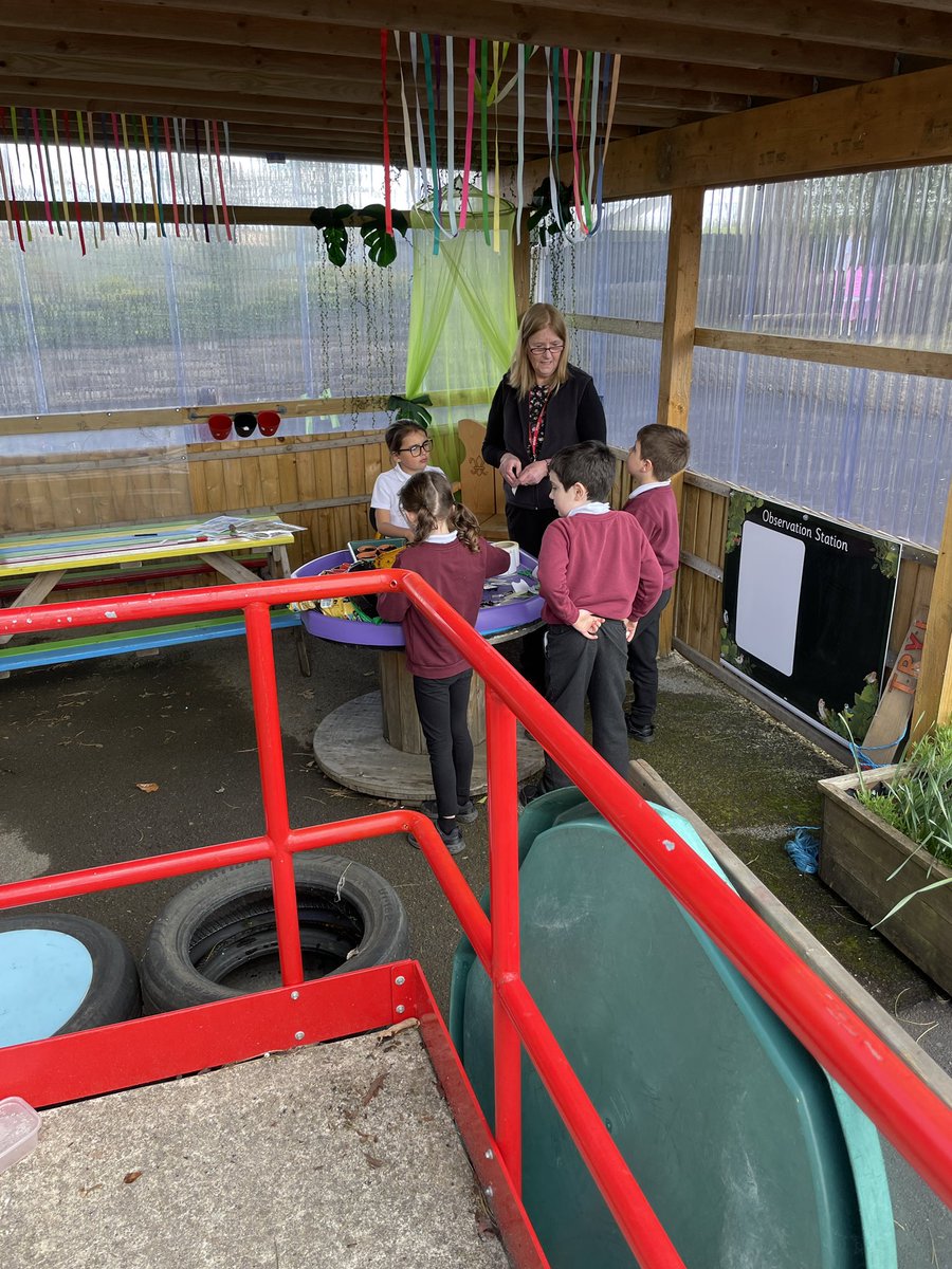 Rhigos Primary tweet media