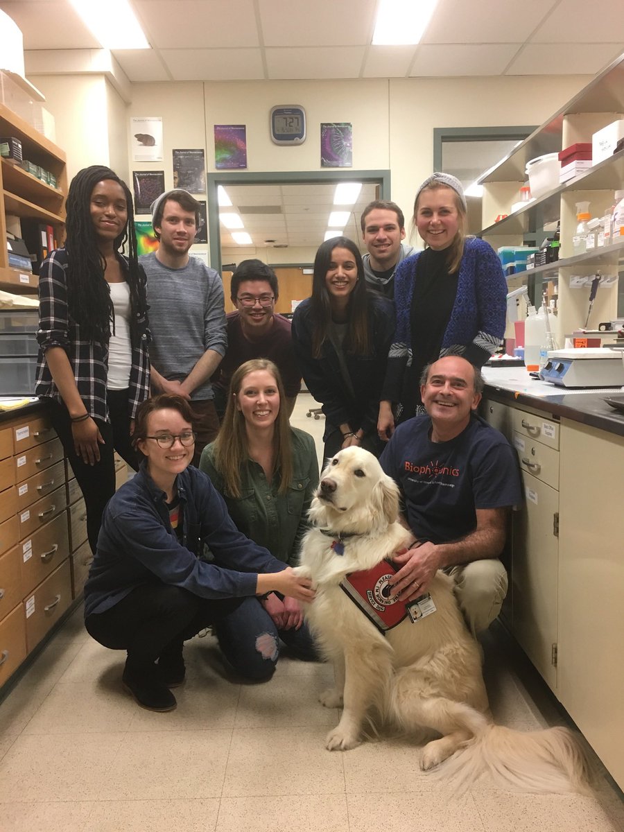 sampson_dog's tweet photo. Mom was told she had to change her major because a service dog would NEVER be allowed in a lab. False! She was told she would never have a career as a neuroscientist because she had a service dog. False! She never quit fighting for equal access to science. Never! Give! Up! https://t.co/mWEbXzwpp3