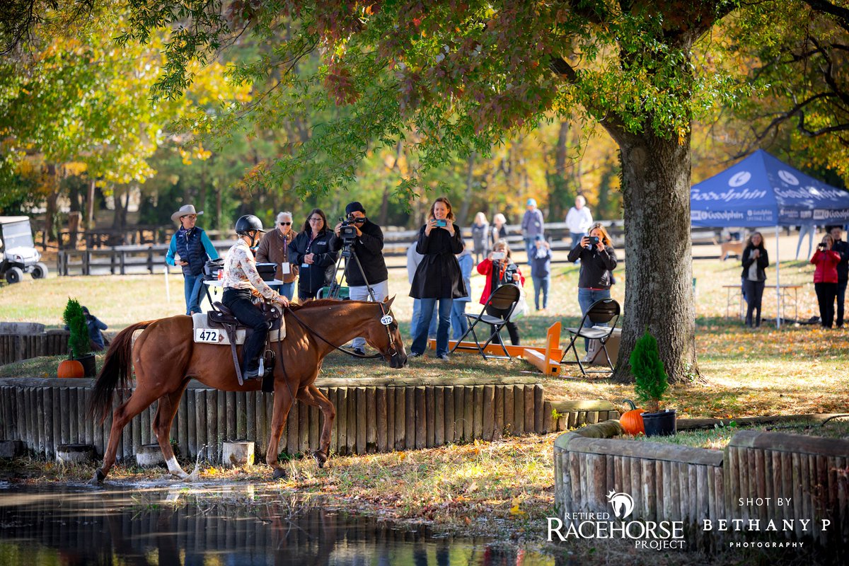 Retired Racehorse Project tweet media
